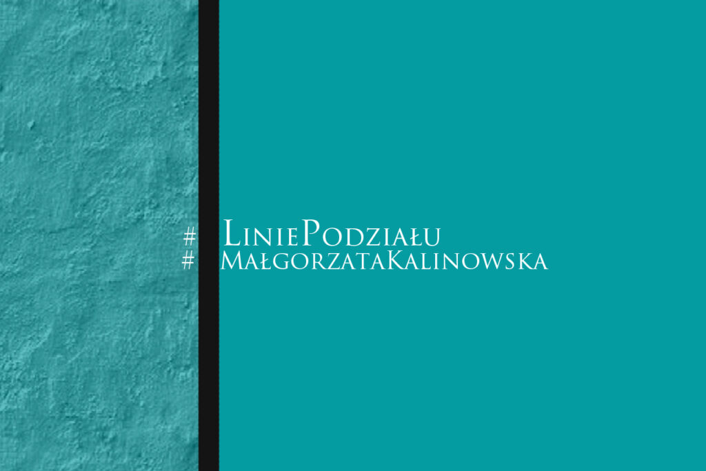 Linie podziału