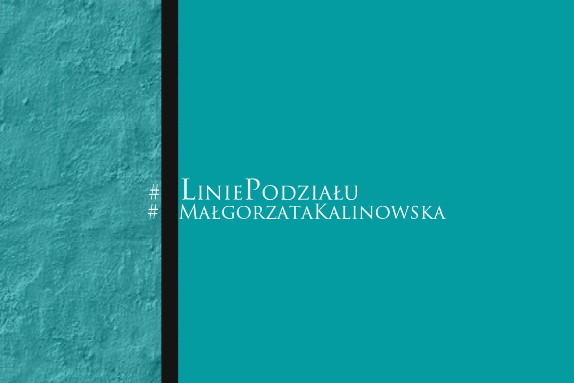 Linie podziału